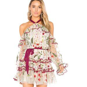 Alexis Adeline Embroidered Floral Short Dress in Ivory Garden